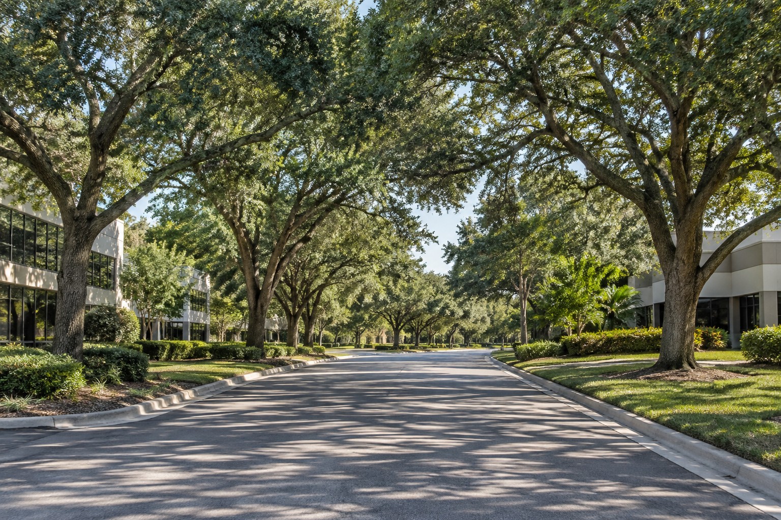 A Maitland, FL office park street, illustrative